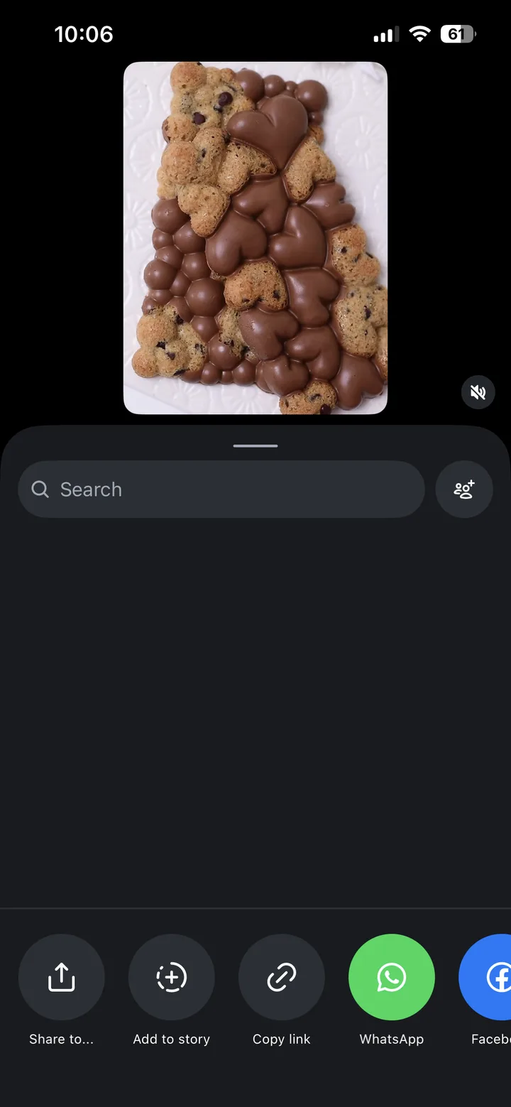 תפריט השיתוף של אינסטגרם